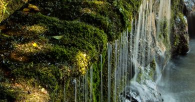 Экскурсии в `33 водопада` из Лазаревского