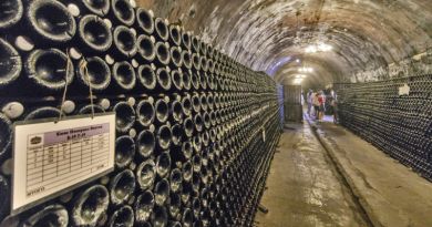 Абрау Дюрсо и Кабардинка.