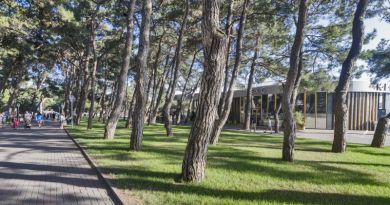 Авто-пешеходная экскурсия из Лазаревского (фото 5)