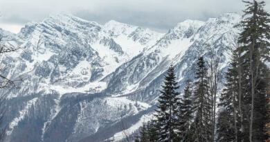Авто-пешеходная экскурсия из Лазаревского (фото 5)